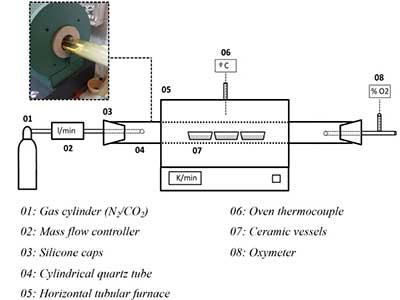 殘?jiān)奶蓟突罨囼?yàn)